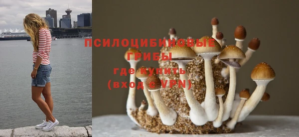 мет Гусь-Хрустальный