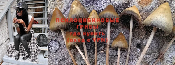 меф Гусев