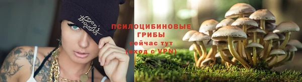 мяу мяу мука Гусиноозёрск