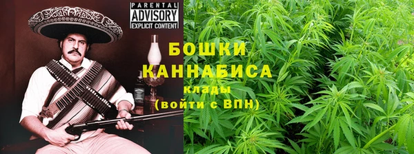 мяу мяу мука Гусиноозёрск