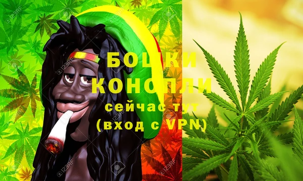 прущие крисы Горняк